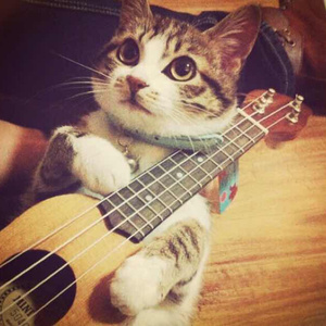 欧美性69❌❌❌
